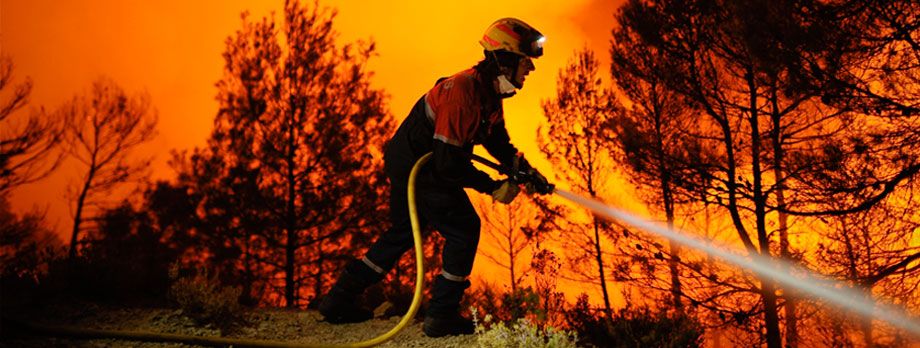 Incendios Forestales y Reforma del Código penal